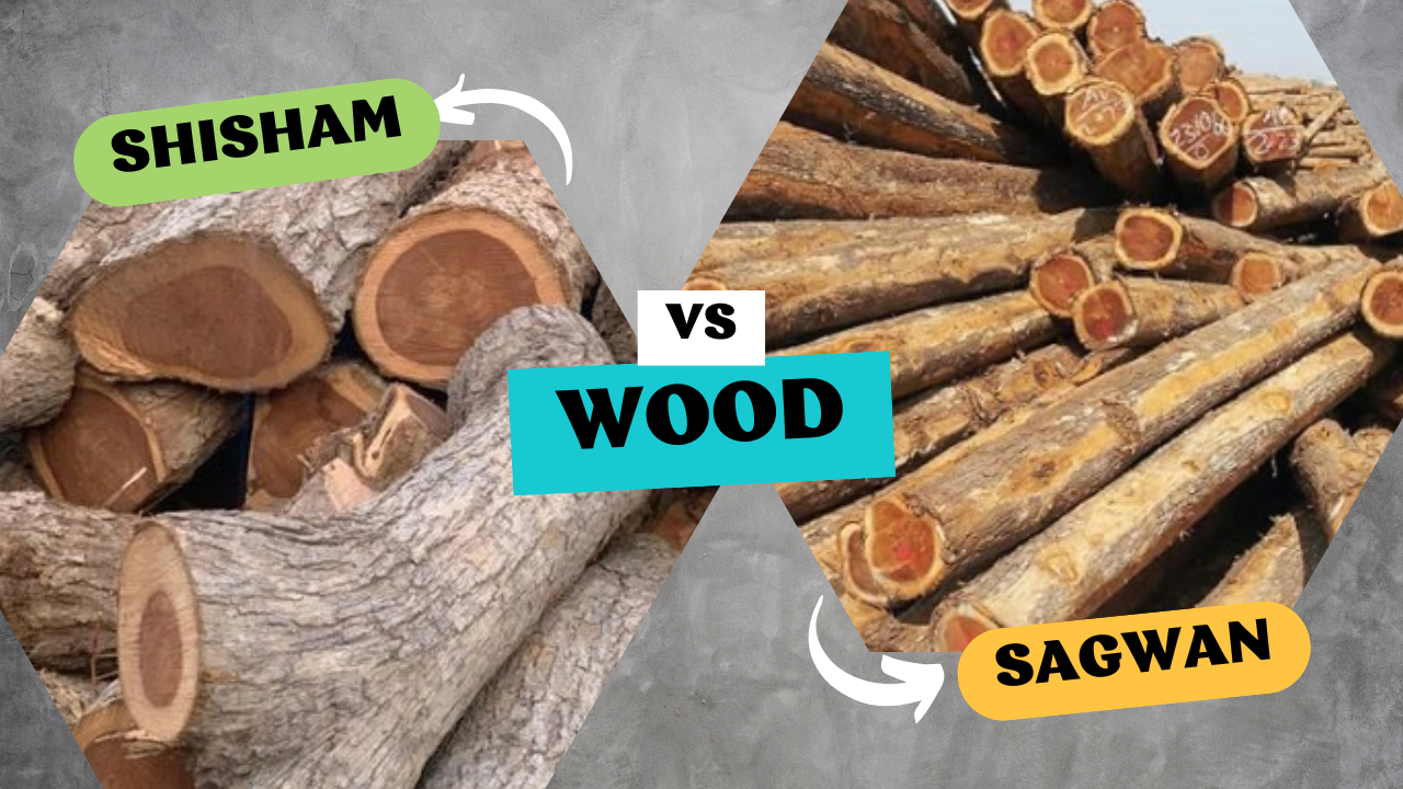 Sheesham vs. Teak Which Wood Reigns Supreme for Your Home Furniture